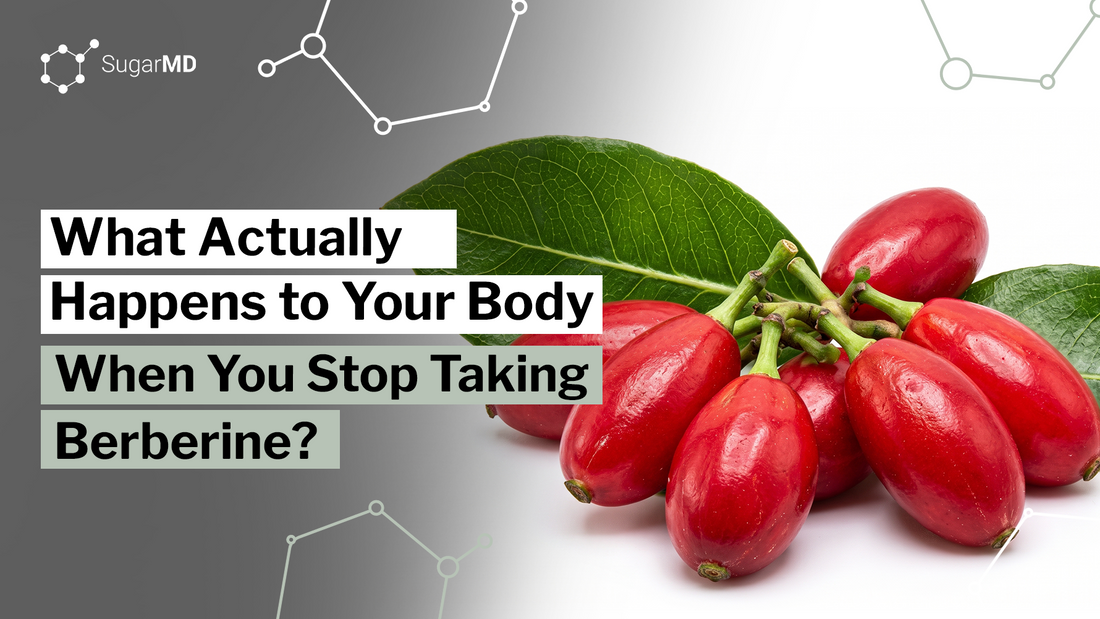 Red berberine berries with text asking what happens to your body when you stop taking berberine.