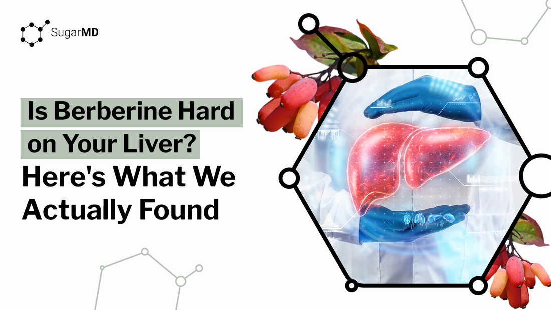 Wild Earth guide on healthy additions to your dog’s kibble featuring a curious beagle and food topping ideas.  SugarMD infographic asking whether berberine is hard on the liver with medical liver illustration and berberine berries.