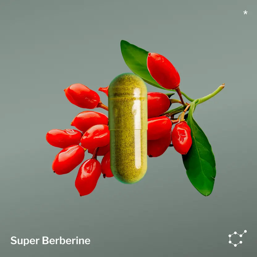 SugarMD Super Berberine (DHB and Ceylon Cinnamon) 30 Capsules – New Formula